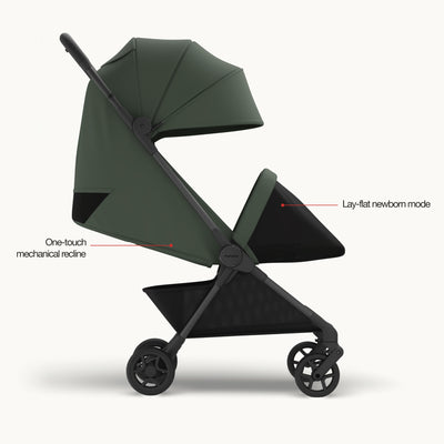Mompush Nexis